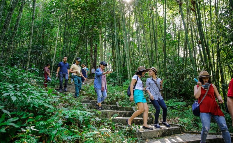 Thác Tiên đèo Gió có thảm thực vật phong phú