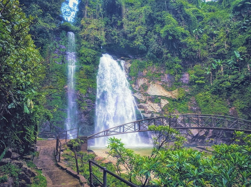 Rừng nguyên sinh thác Tiên Đèo Gió