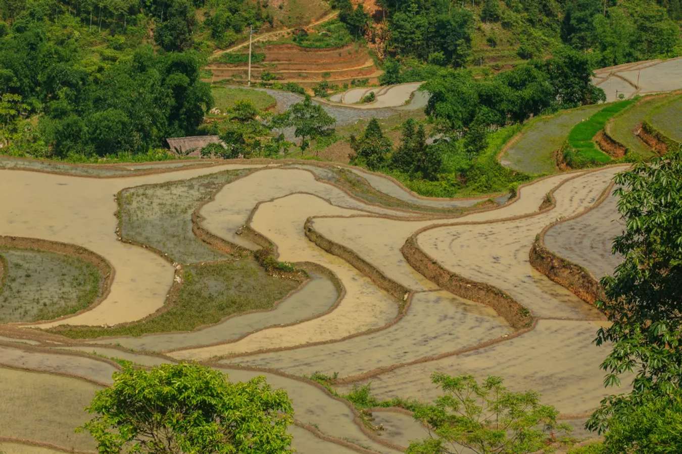 Ruộng bậc thang đẹp nhất xã Nậm Khòa tập trung ở thôn Khòa Hạ.