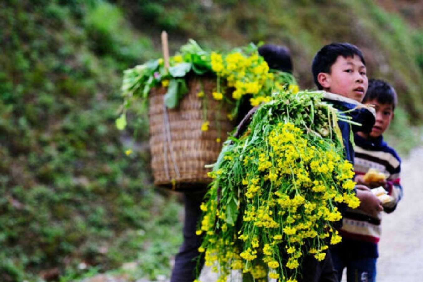 thị trấn Phó Bảng