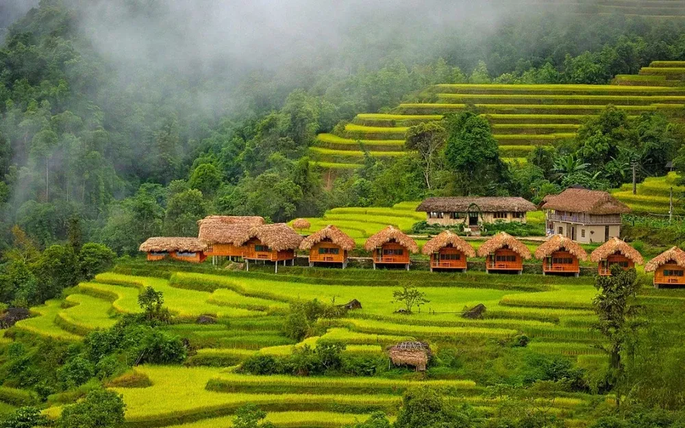 Hoang Su Phi Terraced Fields